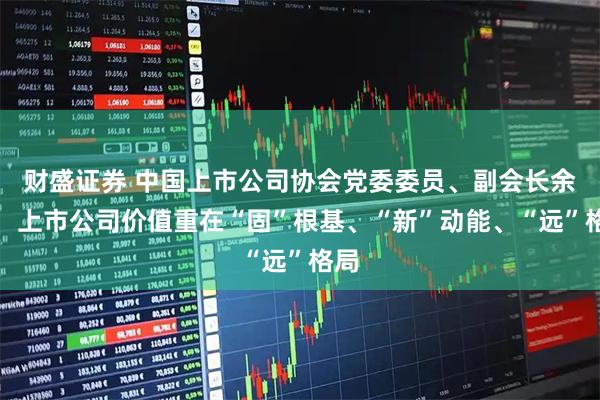 财盛证券 中国上市公司协会党委委员、副会长余辉：上市公司价值重在“固”根基、“新”动能、“远”格局