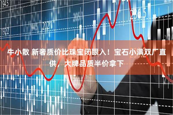 牛小散 新奢质价比珠宝闭眼入！宝石小满双厂直供，大牌品质半价拿下