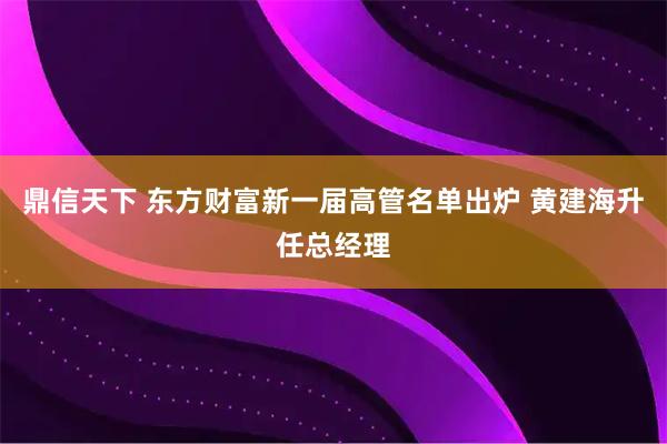 鼎信天下 东方财富新一届高管名单出炉 黄建海升任总经理